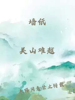 墙纸